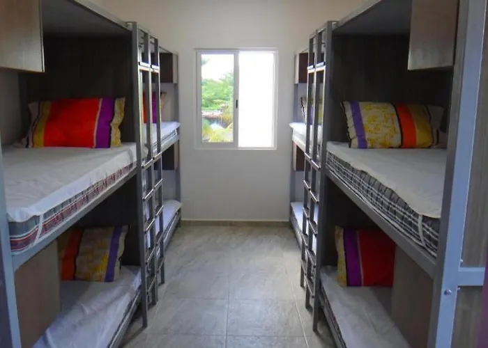 Albergue Humanity - *