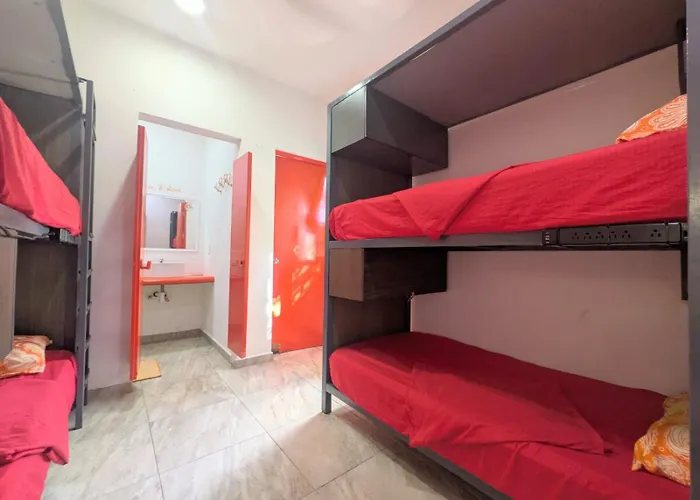 Albergue Humanity - Puerto Morelos