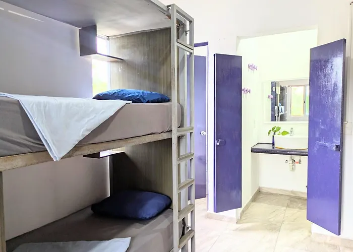 Humanity - Albergue *